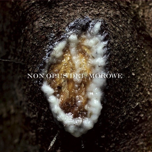 Non Opus Dei / Morowe