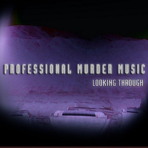 Professional Murder Music