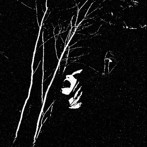 Sanguine Myst