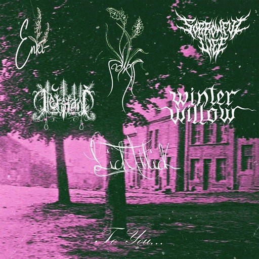 Tiefstand / Lichtblick / Sadness / Enki / Sorrowful Life / Winter Willow