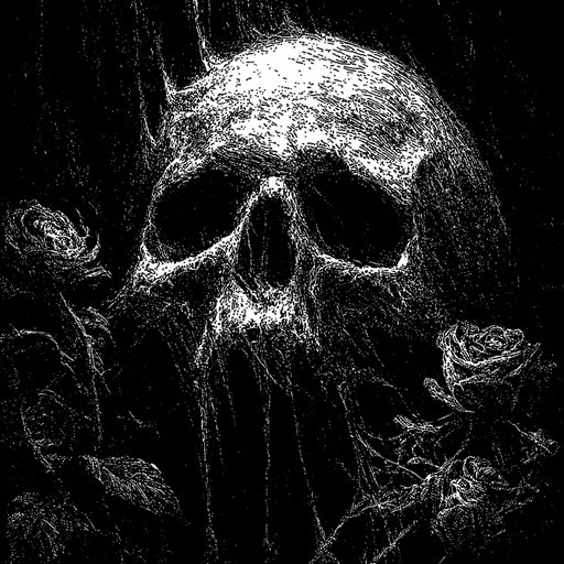 Skars