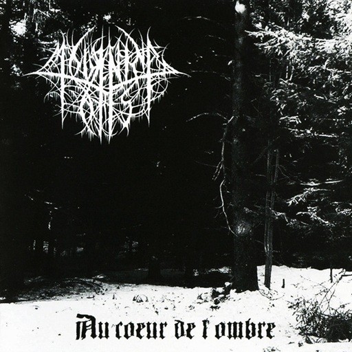 Mourning Forest