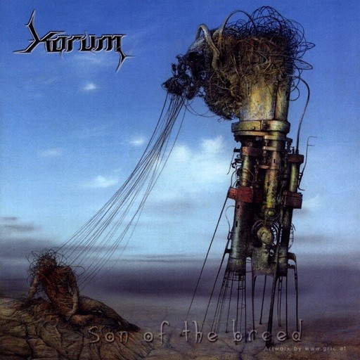Korum