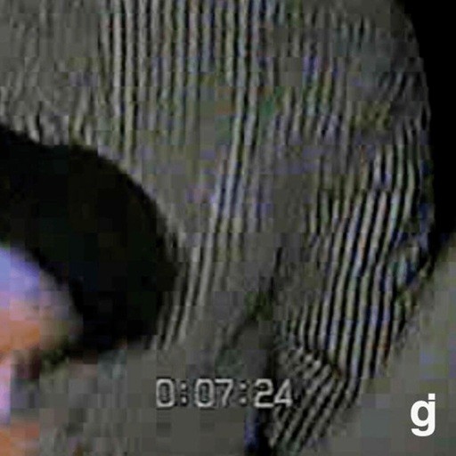 Glassjaw