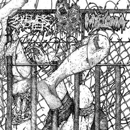 Sulfuric Cautery / Myxoma