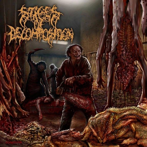 Stages of Decomposition