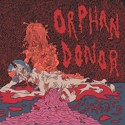 Orphan Donor