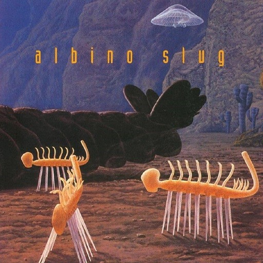 Albino Slug