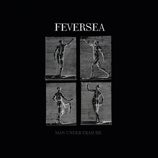 Feversea