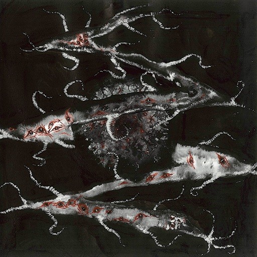 Podré Tocar los Dientes de la Noche