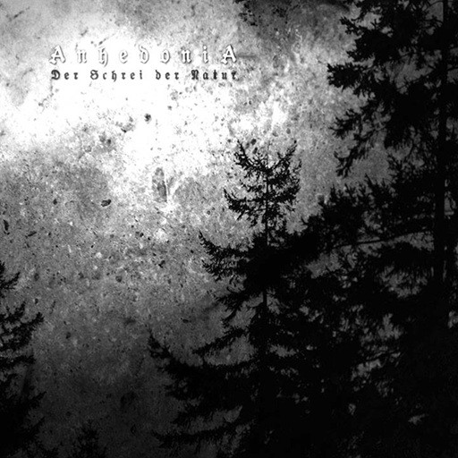 Anhedonia (SWE)