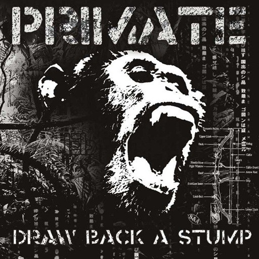 Primate