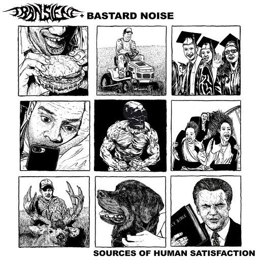 Transient & Bastard Noise