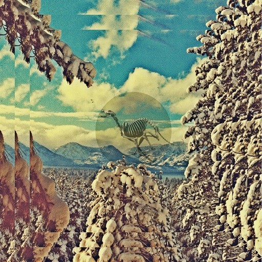 Nameless Coyote