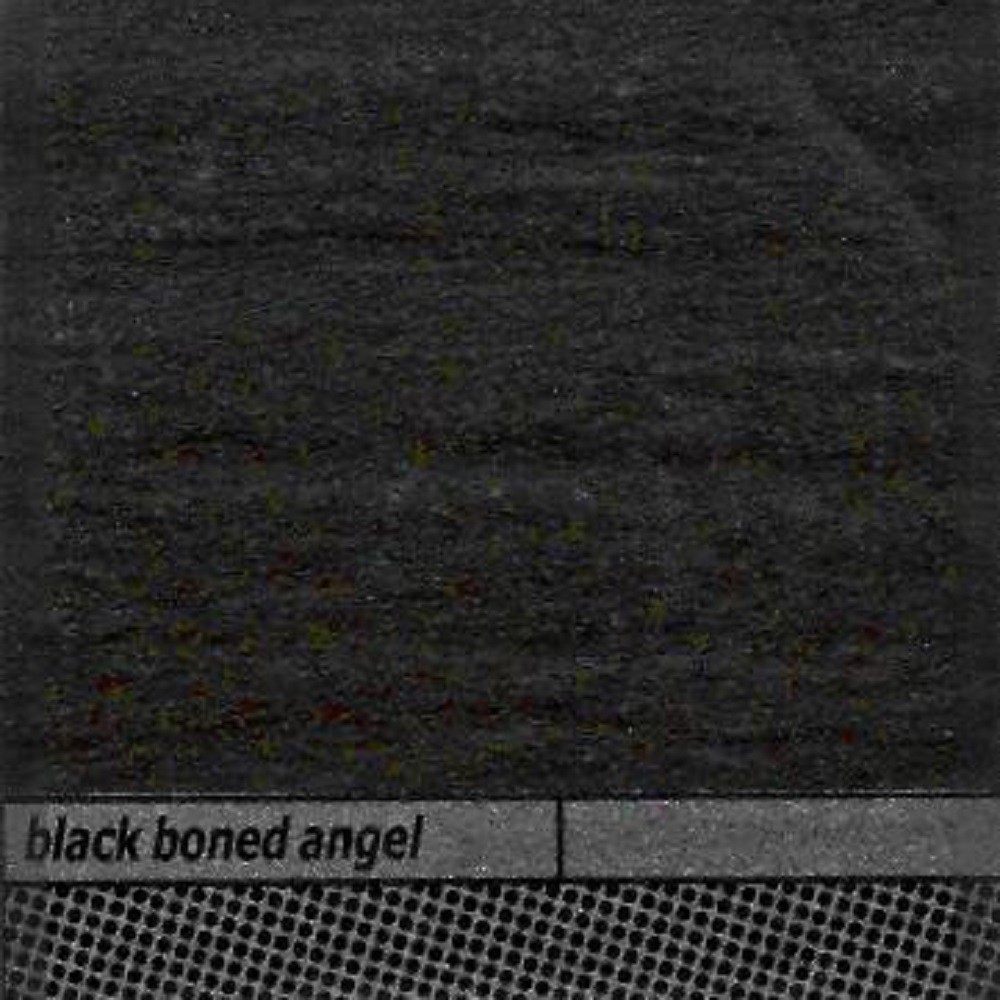 Black Boned Angel - Dashed Upon Stones (2007) Cover