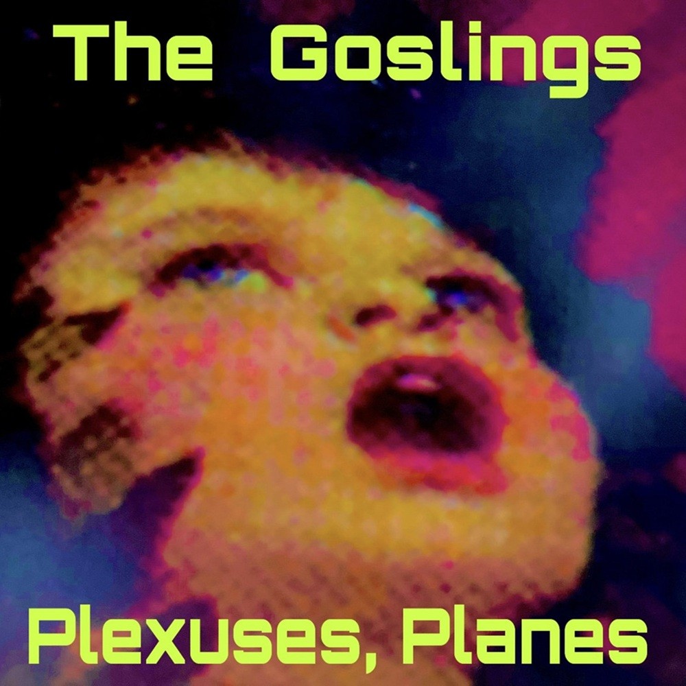 Goslings, The - Plexuses, Planes (2025) Cover