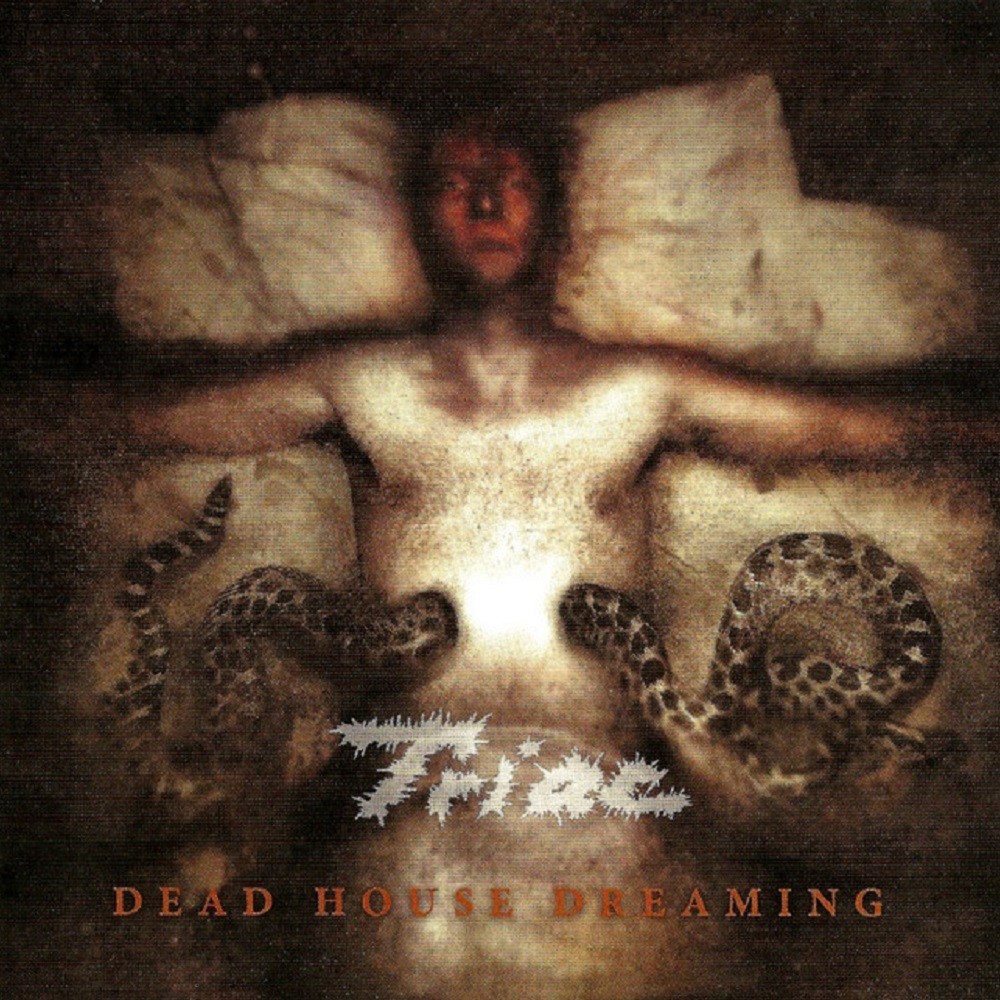 Triac - Dead House Dreaming (2005) Cover