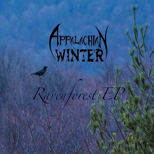 Ravenforest