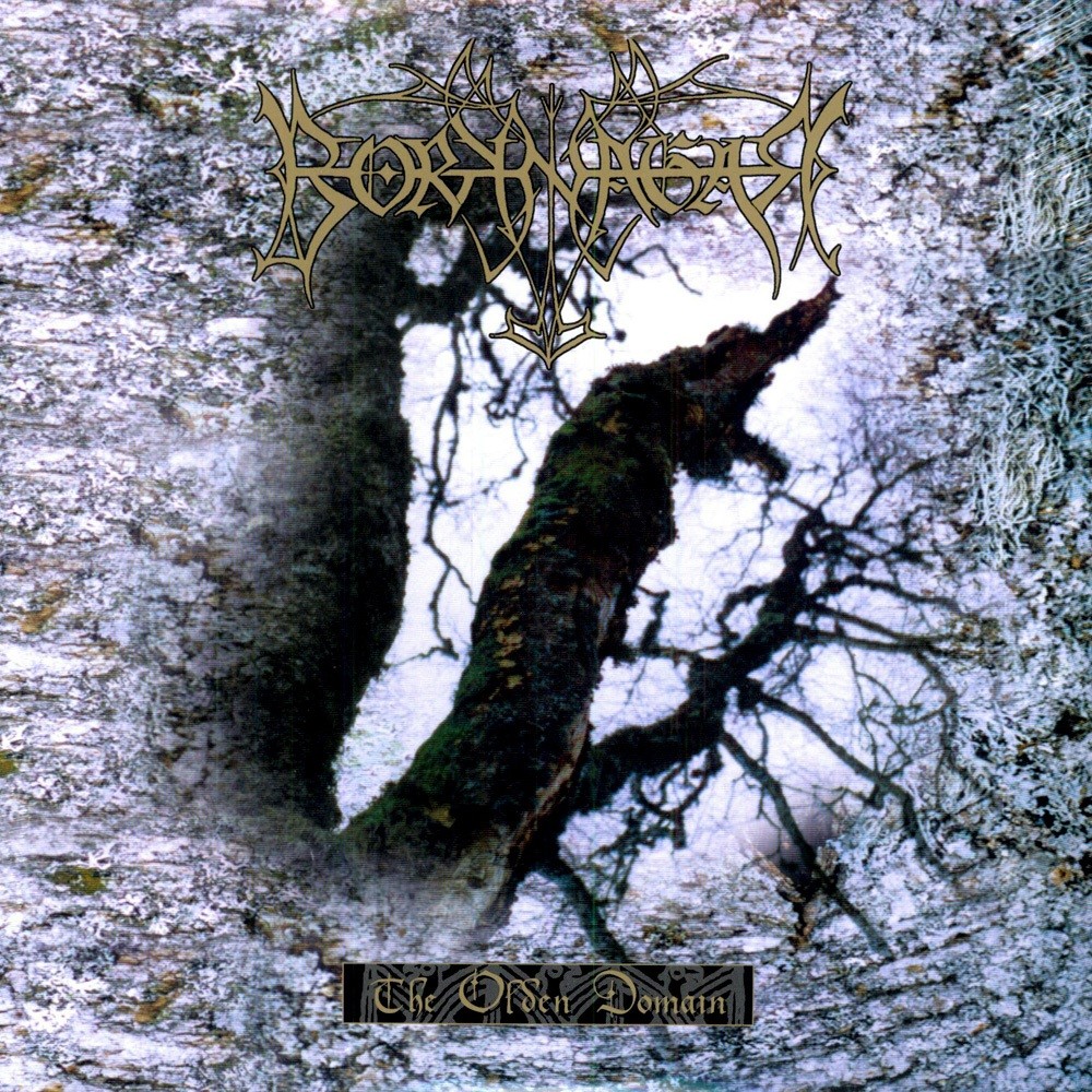 Borknagar - The Olden Domain (1997) Cover