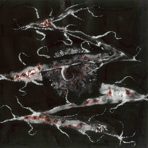 Podré Tocar los Dientes de la Noche