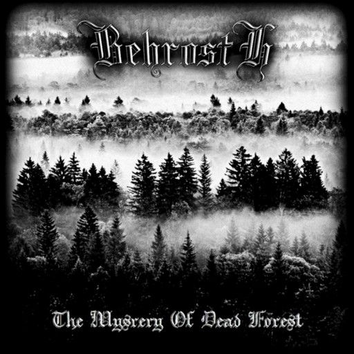 The Mystery of Dead Forest