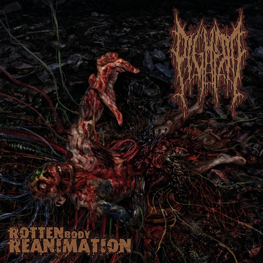 Pighead - Rotten Body Reanimation (2012) Cover