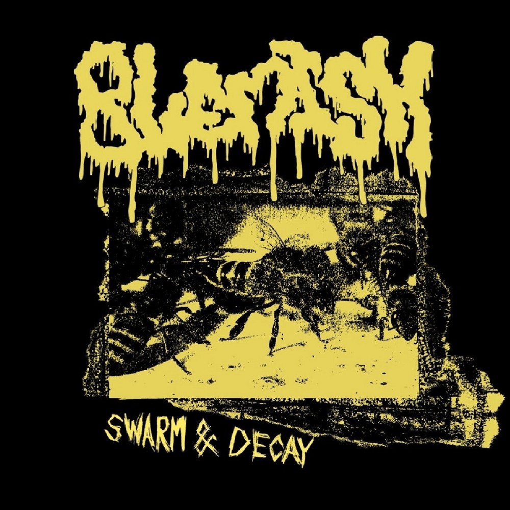 Blemish - Swarm & Decay (2023) Cover