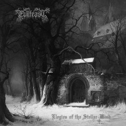 Review by Sonny for Evilfeast - Elegies of the Stellar Wind (2017)