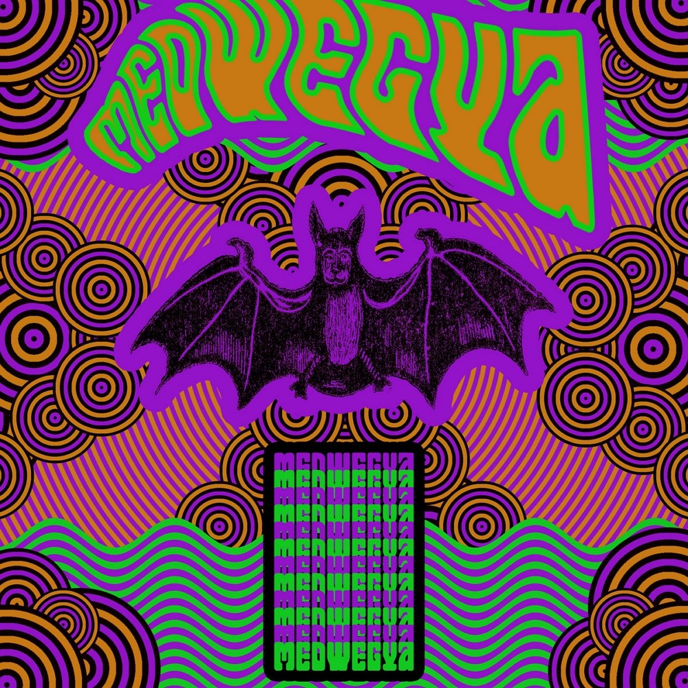 Medwegya - Psychedelic Digression (2022) Cover