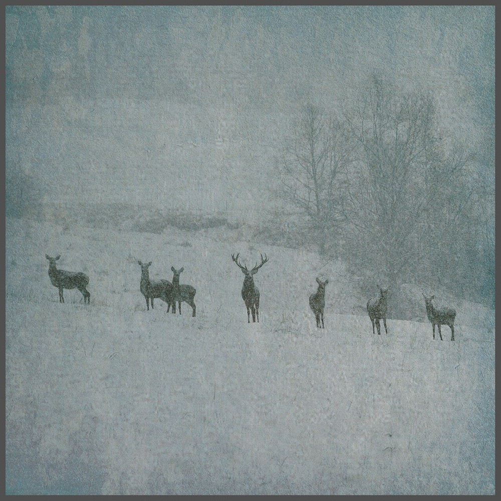Rauhnåcht - Winterstille (2021) Cover