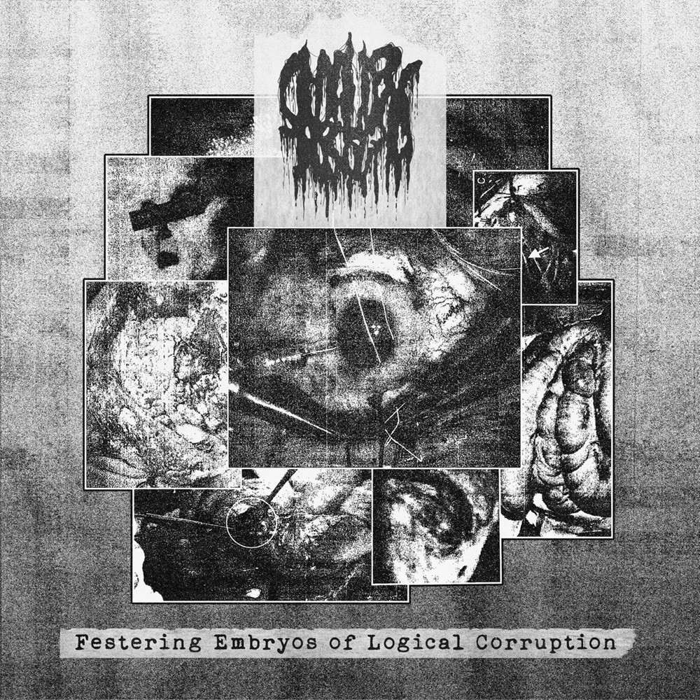 Smallpox Aroma - Festering Embryos of Logical Corruption (2023) Cover