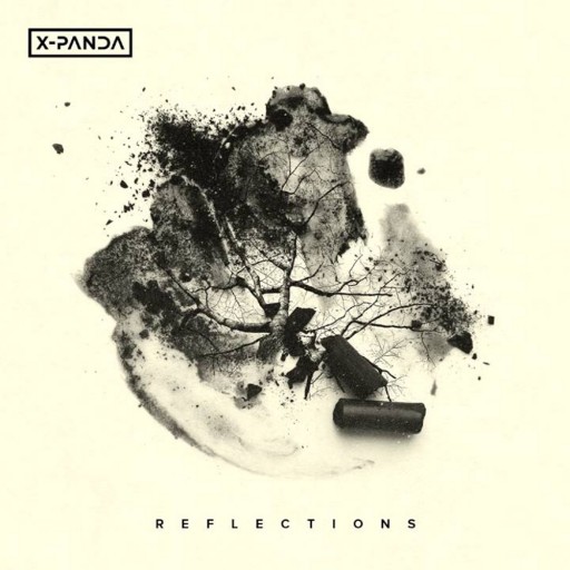 Reflections