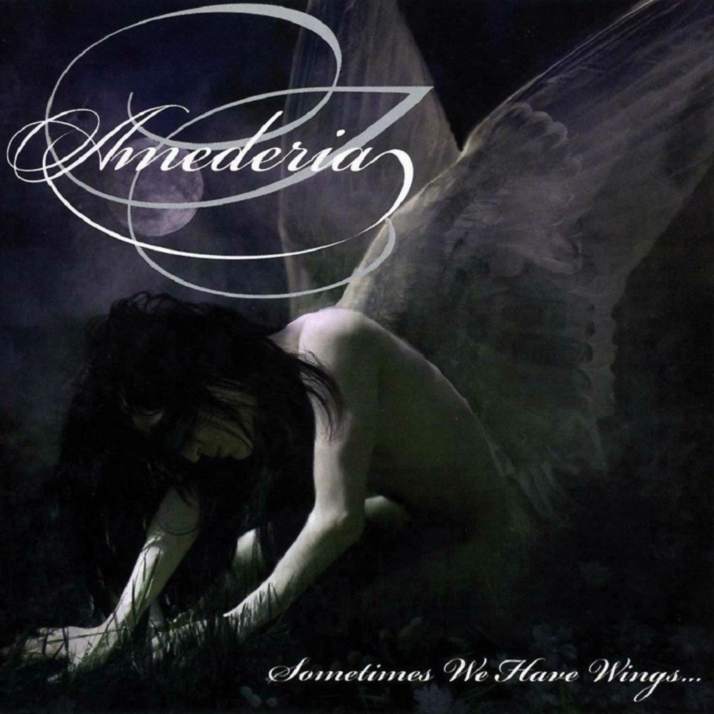 Amederia - Sometimes We Have Wings... (2008) Cover