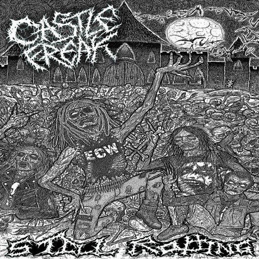 Still Rotting