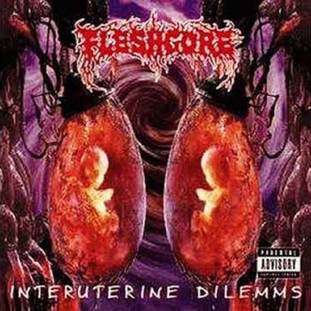 Fleshgore - Interuterine Dilemms (2002) Cover