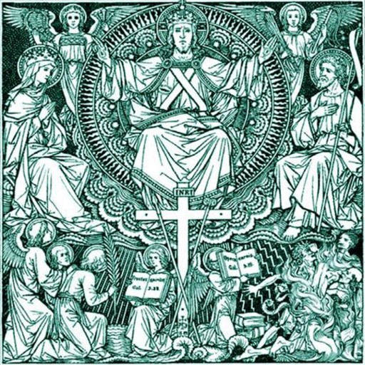 312: The Shadow of a Fleeting Dream