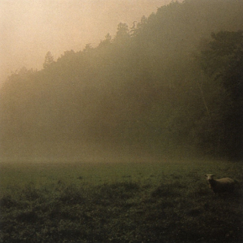 Dead Raven Choir - Death to Dead Wolves (2004) Cover