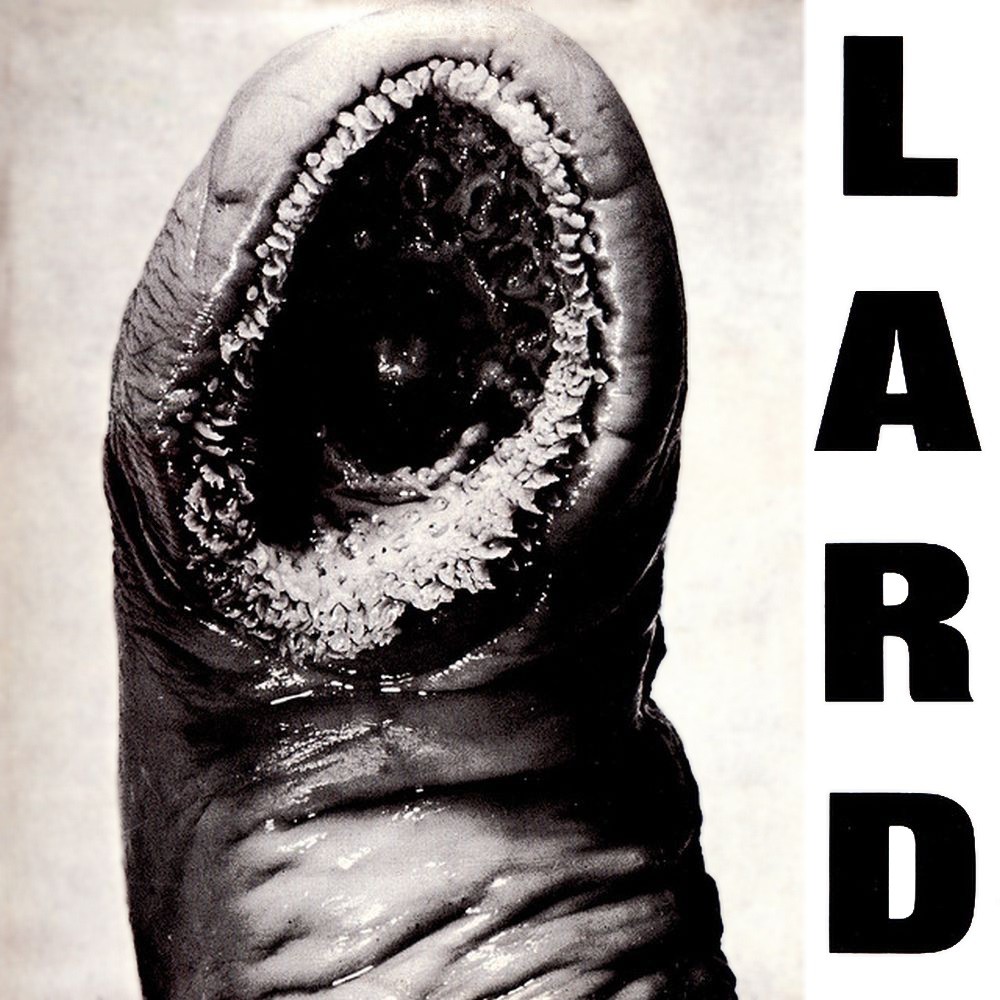 Lard - The Power of Lard (1989) Cover