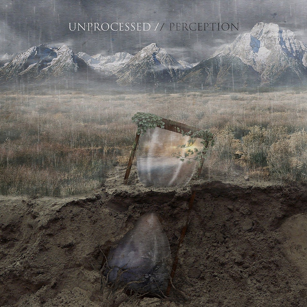 Unprocessed - Perception (2016) Cover