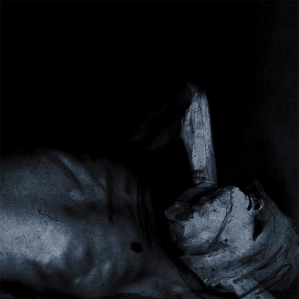 Fluisteraars - Dromers (2014) Cover