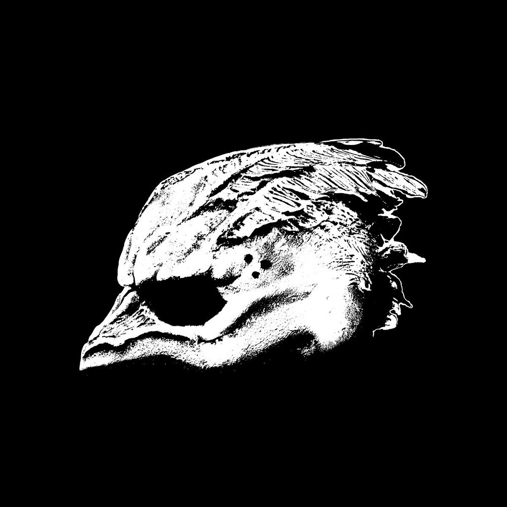 Legend of the Seagullmen - Legend of the Seagullmen (2018) Cover