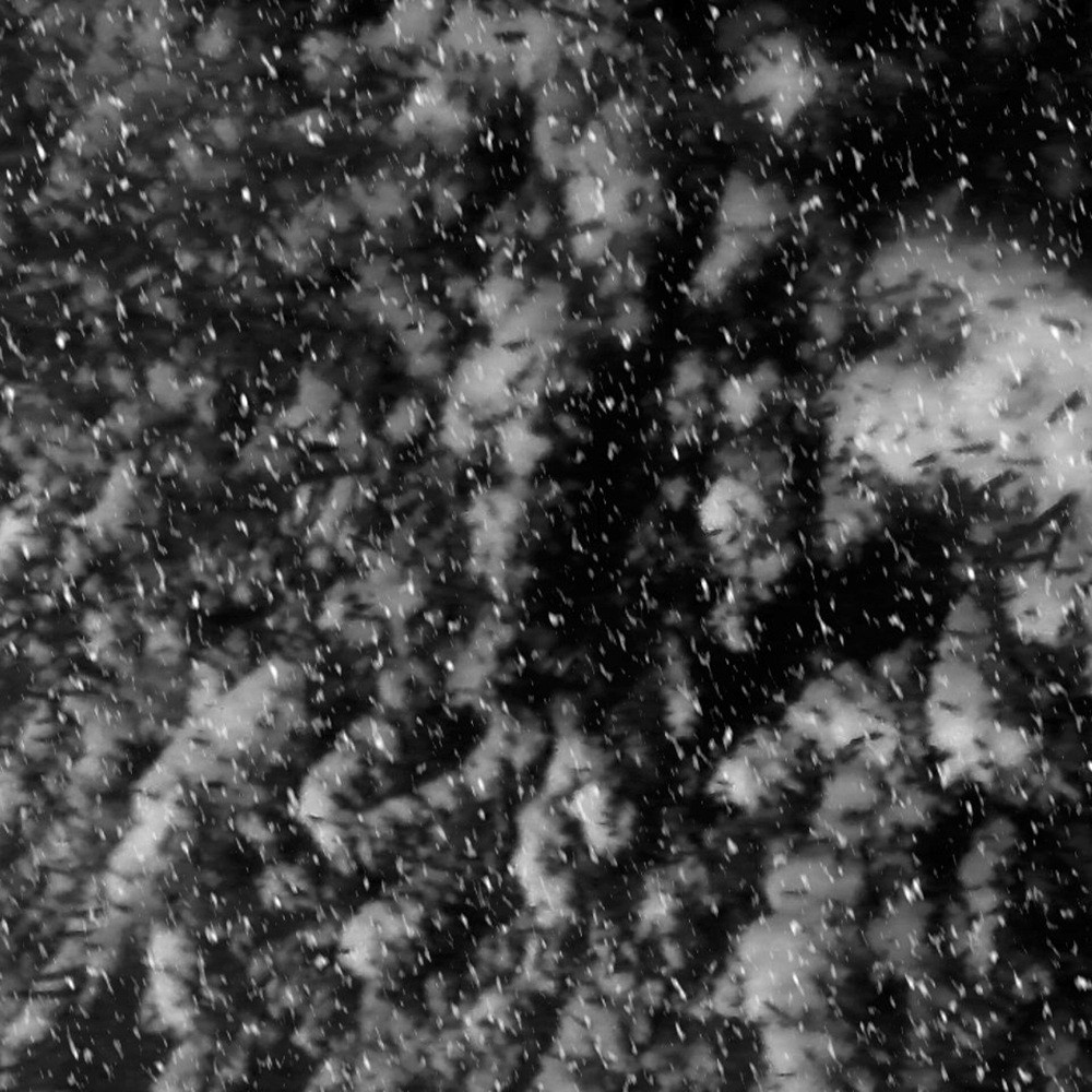 Eissturm - The Purpose (2013) Cover