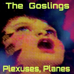 Plexuses, Planes