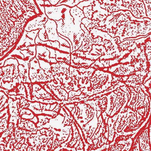Materializing Defective Fascia