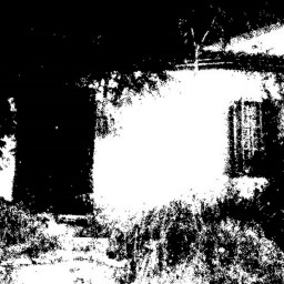 Forbidden Creatures of Time