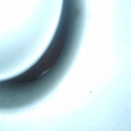 221: The Usual Manifestations of Suspicion Were Heightened