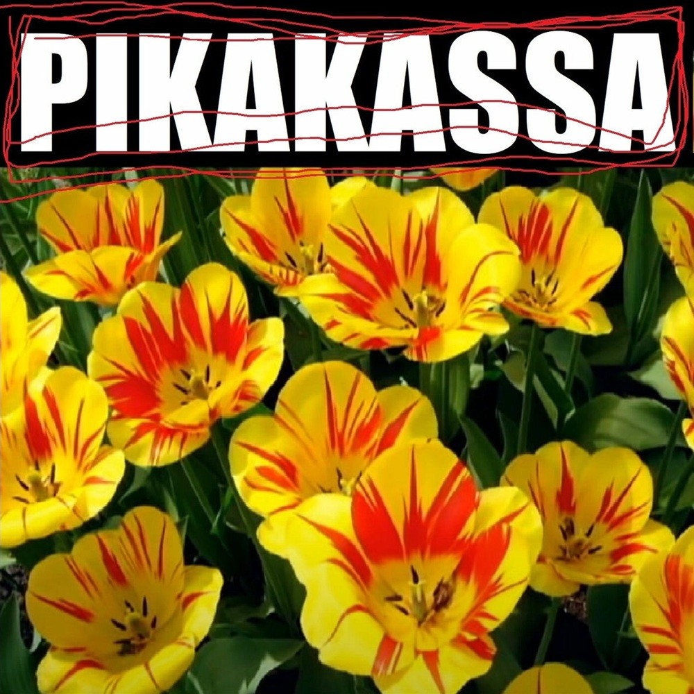 Pikakassa - Pikakassa 4 (2017) Cover