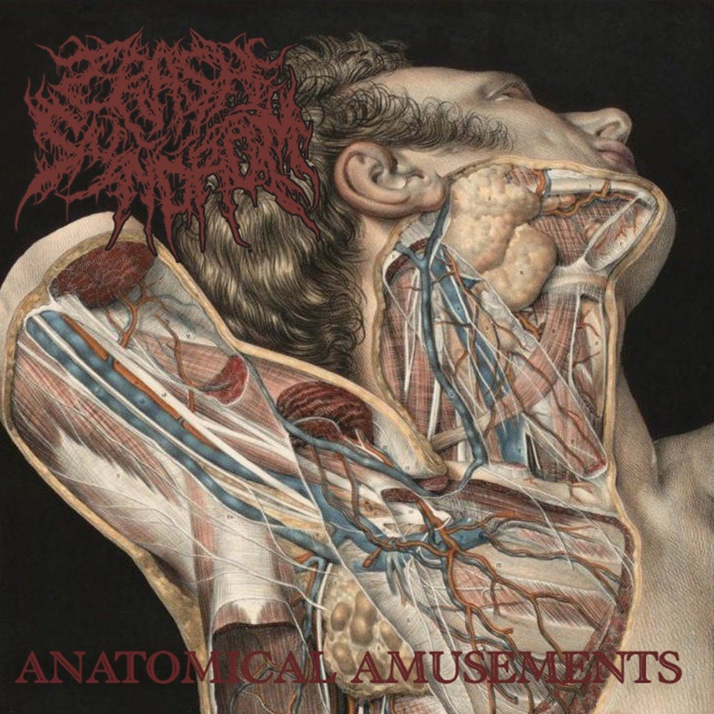 Crash Syndrom - Anatomical Amusements (2018) Cover