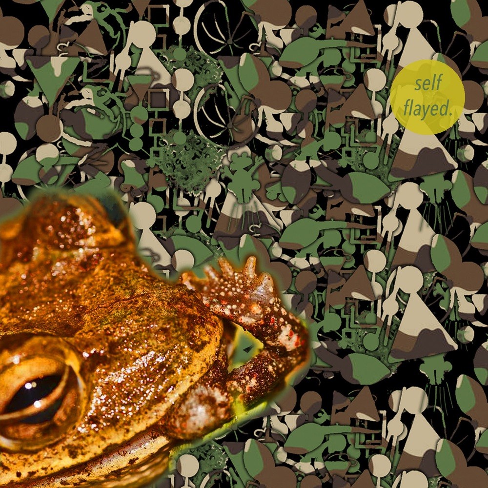 Phyllomedusa - Lustral Hungyr (Banjo Profanity) (2023) Cover