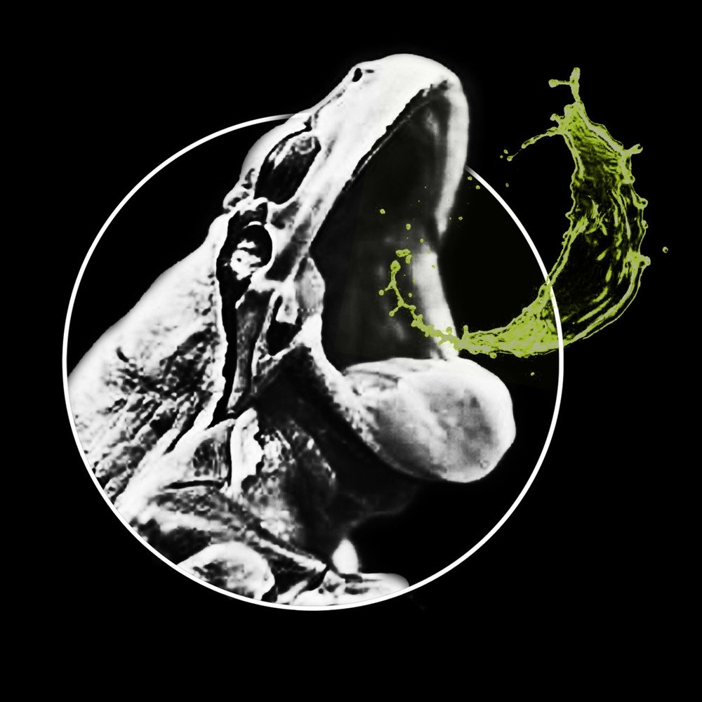 Phyllomedusa - Spurn Gully (2022) Cover
